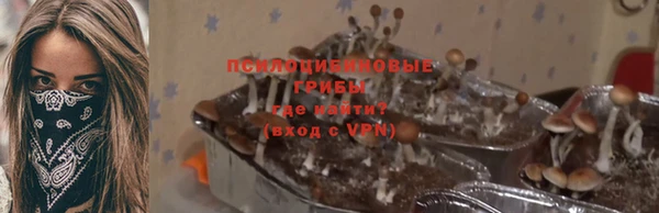 марки lsd Карпинск