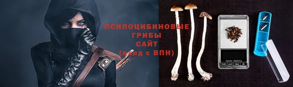 apvp Касимов