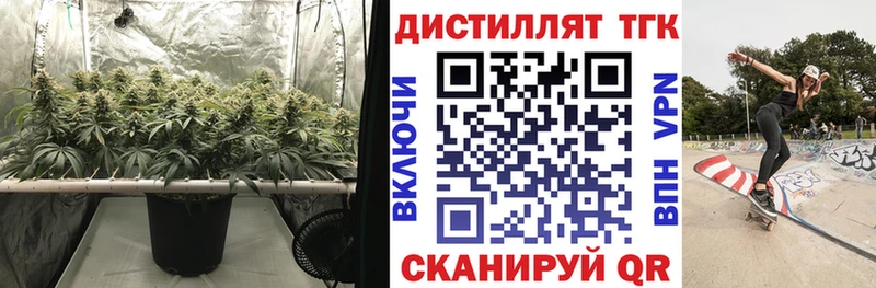 Дистиллят ТГК концентрат  darknet клад  Ленинск  где купить наркотик 