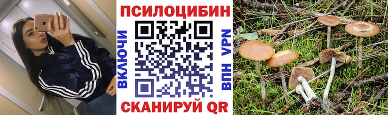 Псилоцибиновые грибы мухоморы  наркотики  Ленинск 